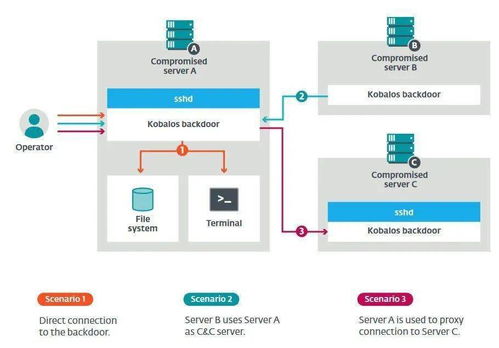 超級計算機的安全警鐘 新型Linux惡意軟件如何竊取SSH數據